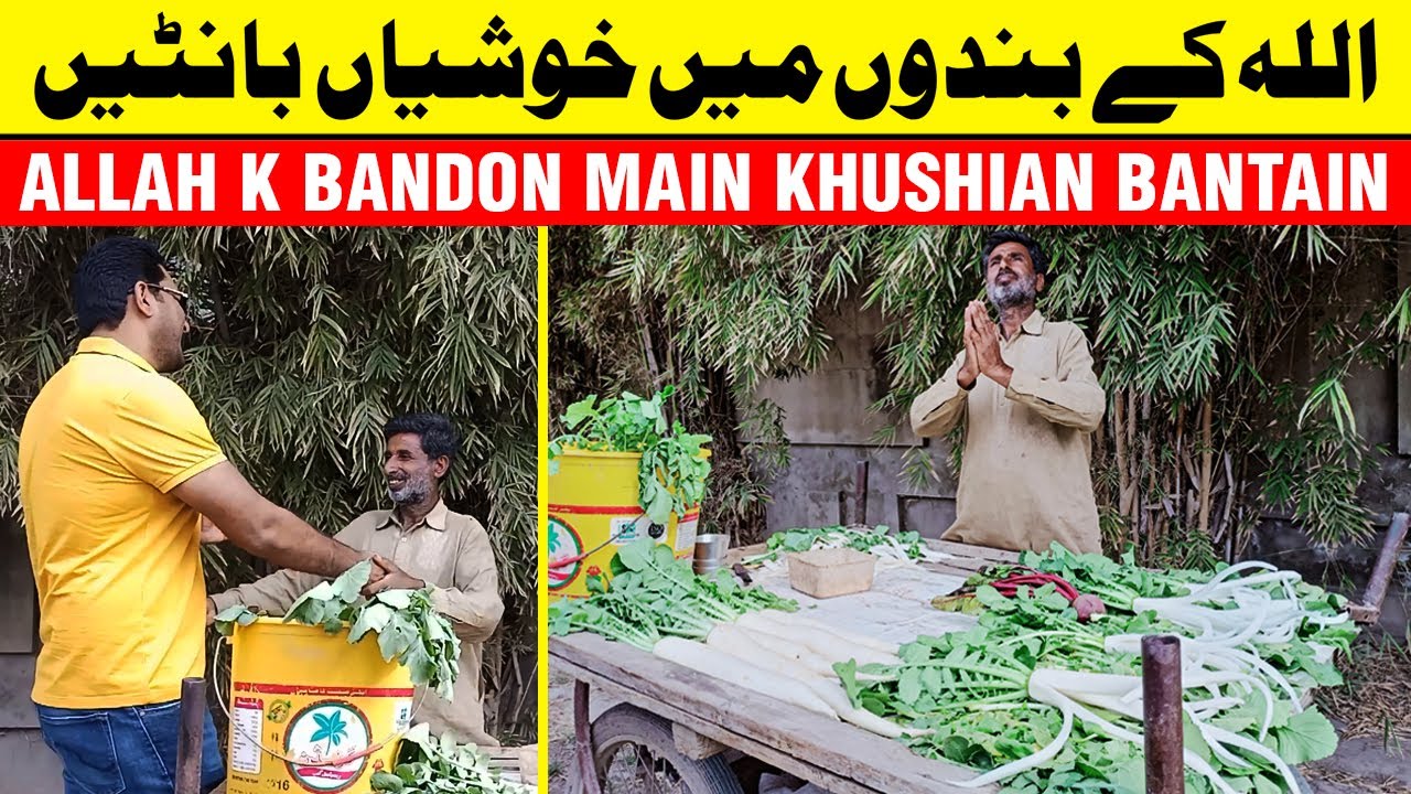 ALLAH K BANDON MAIN KHUSIAN BANTAIN | BANDY BANO