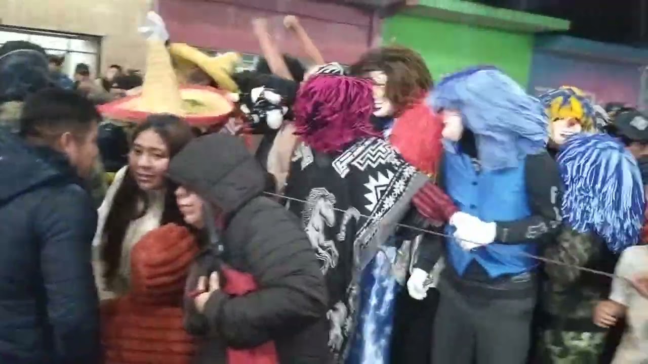 llegada de la flor 