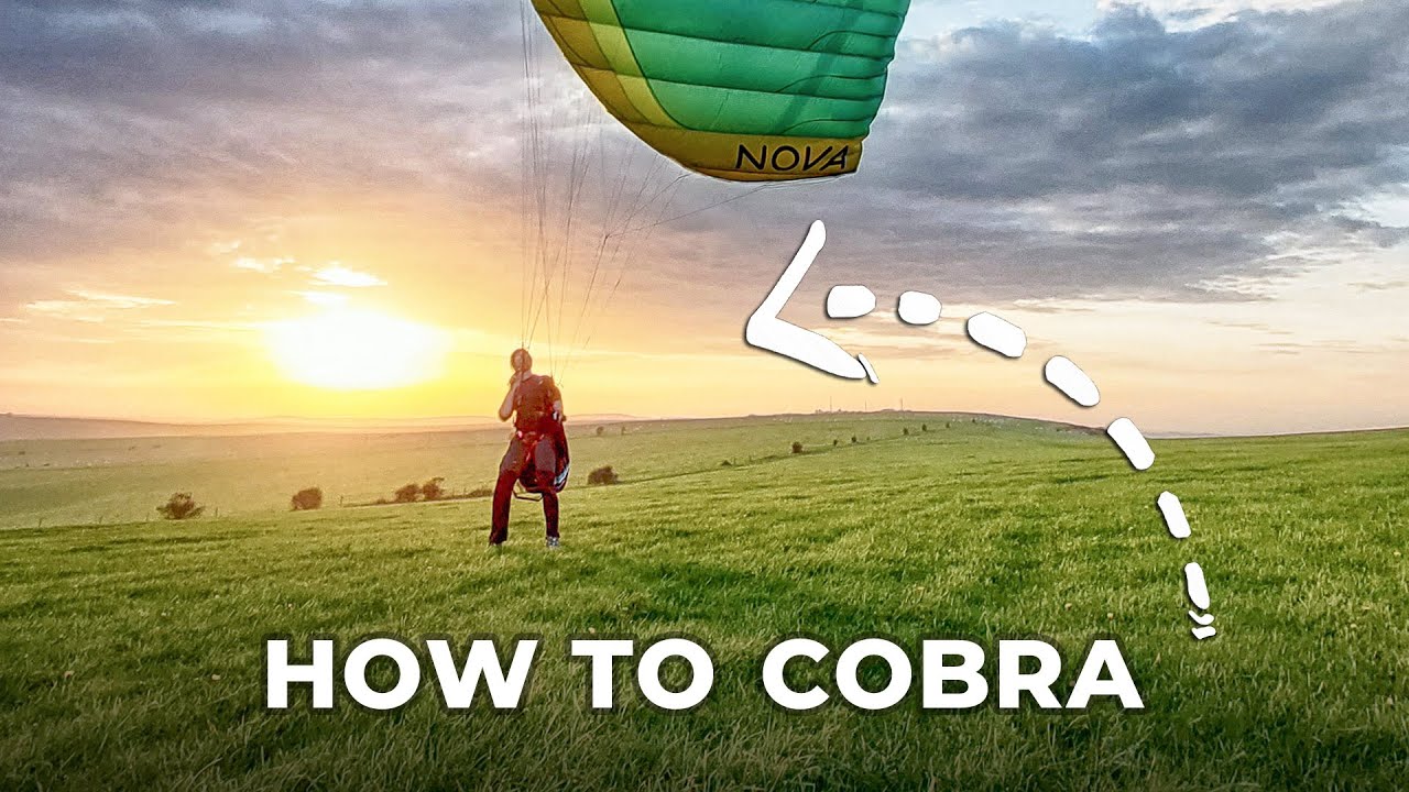 Укротите запуск COBRA (за 3 минуты)