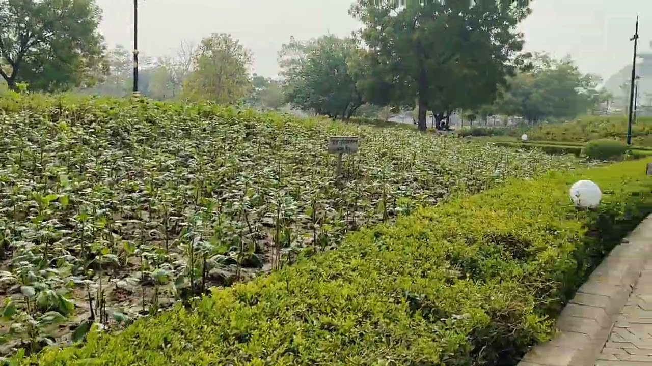 Cota Rajasthan Raja park in 2025