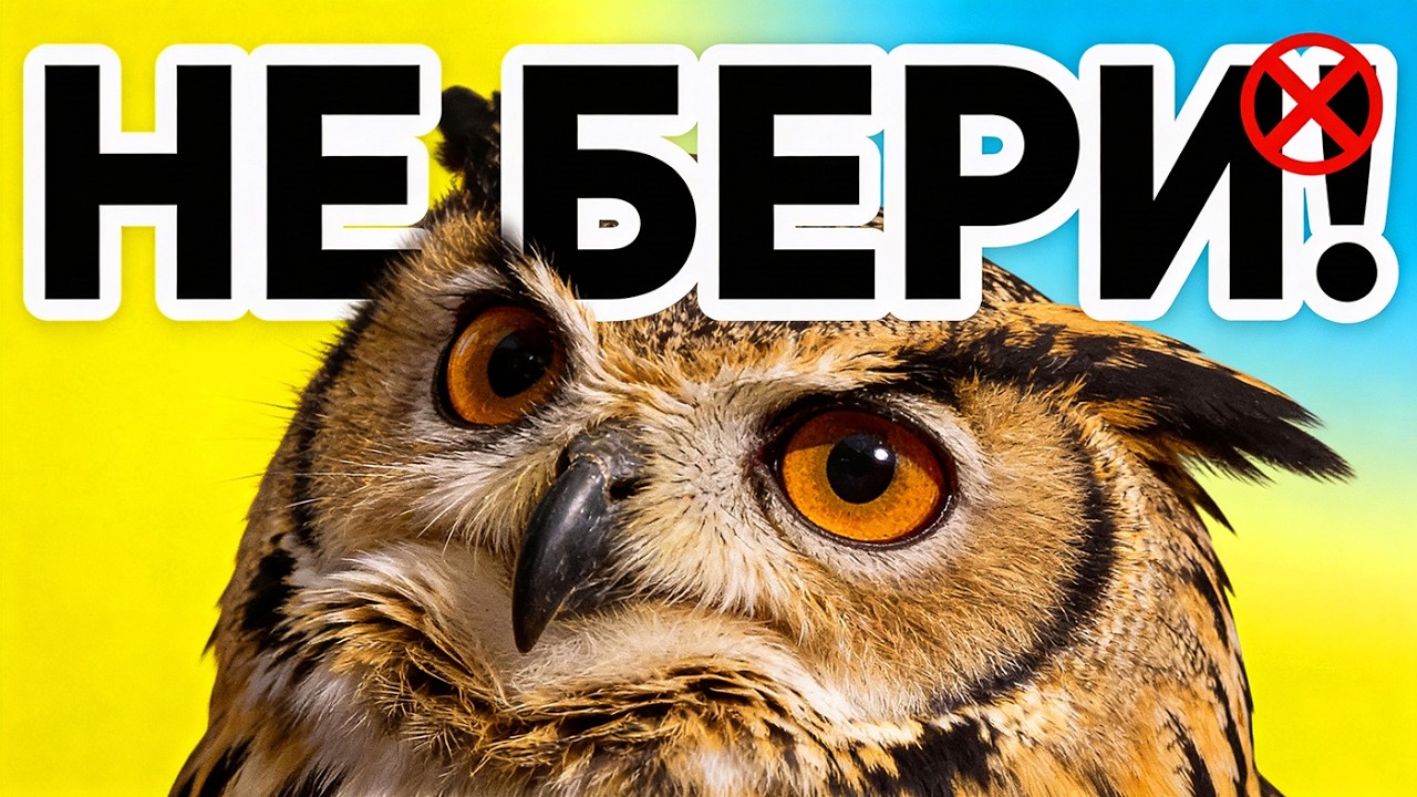 5 причин НЕ заводить СОВУ! Не мудрая Бестия :)