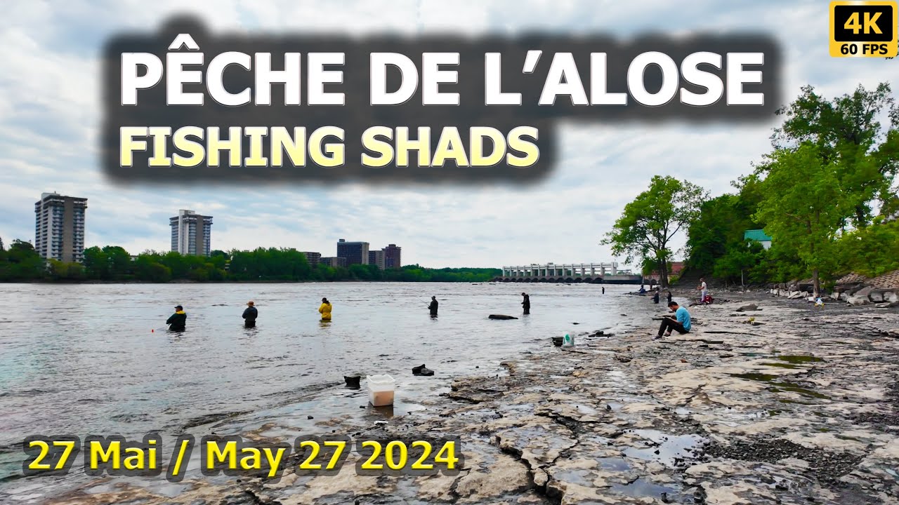 Shad Fishing at Les Berges du Barrage / P&ecirc;cheurs d'Alose aux Berges du Barrage, Montreal, Canada