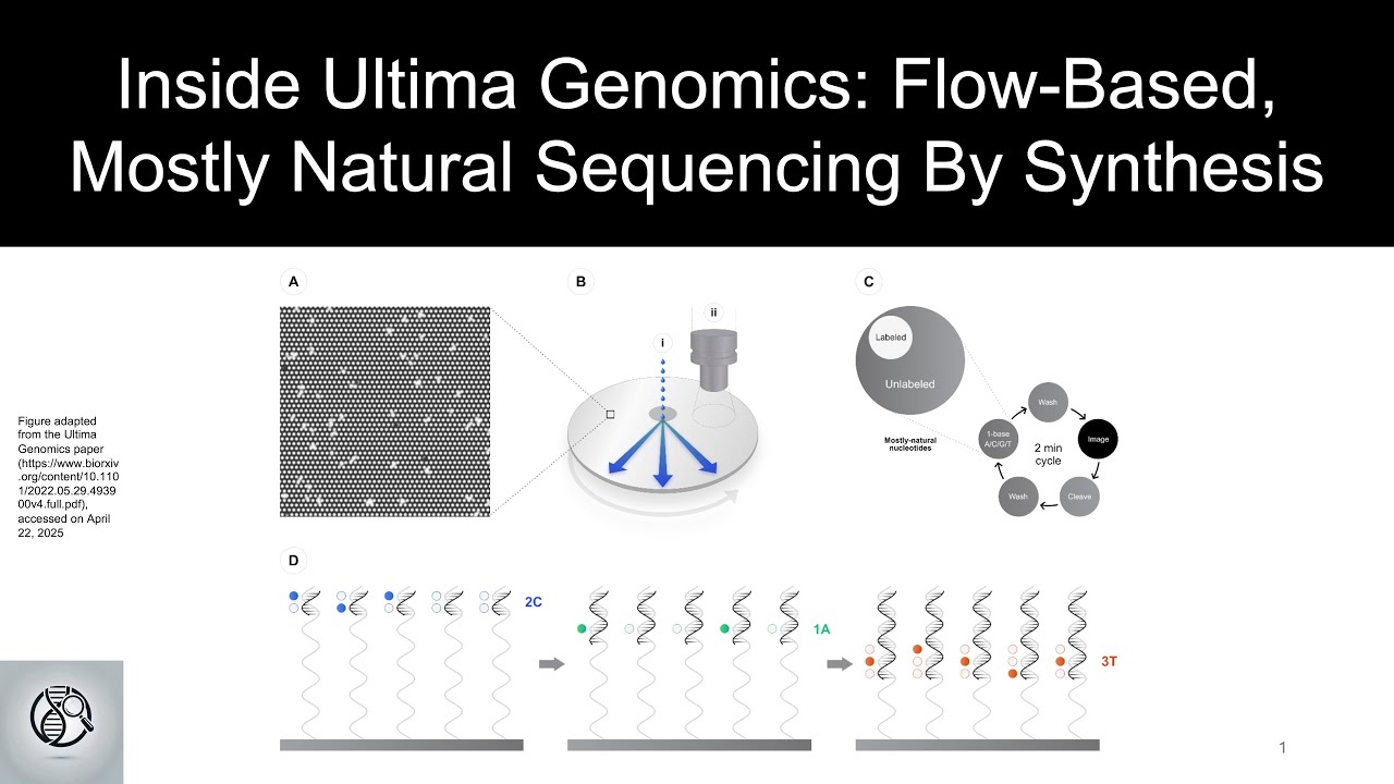 Inside Ultima Genomics: Flow-Based, Mostly Natural Sequencing By Synthesis