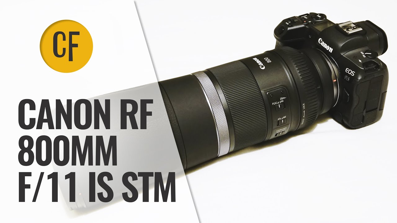 Обзор объектива Canon RF 800mm f/11 IS STM с примерами