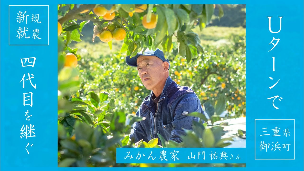 【みかん就農】三重県御浜町の就農物語 - Uターンでみかん農家の4代目を継いだ山門祐典さん | 三重県御浜町 - Mihama Town  | 熊野 | みかん | 農業