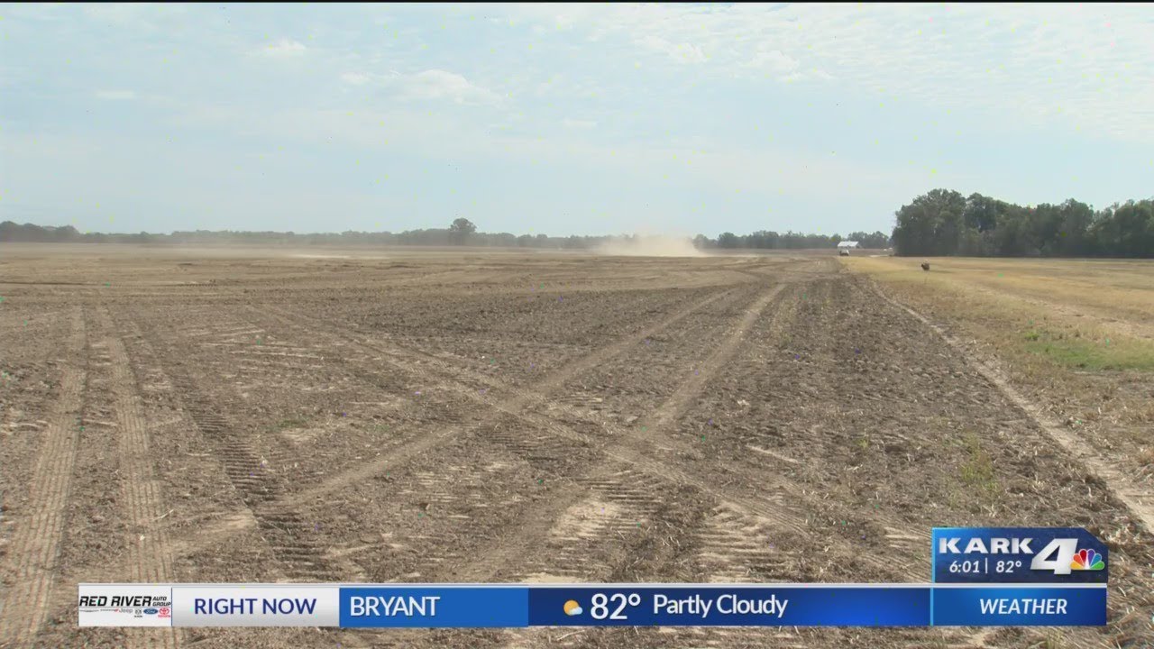 Arkansas farmers struggling to keep crops alive during drought