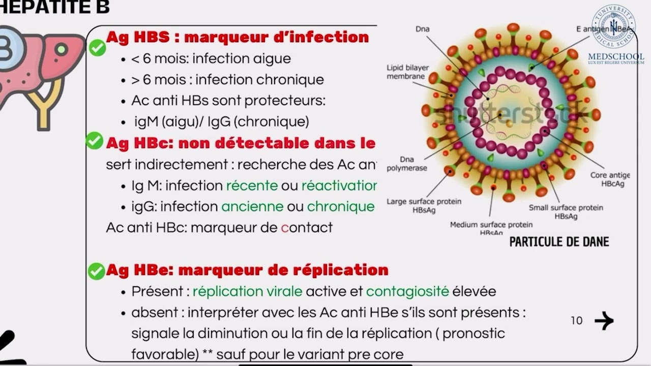 🔴 Extrait de séance en direct — Objectif 35 : Hépatites virales