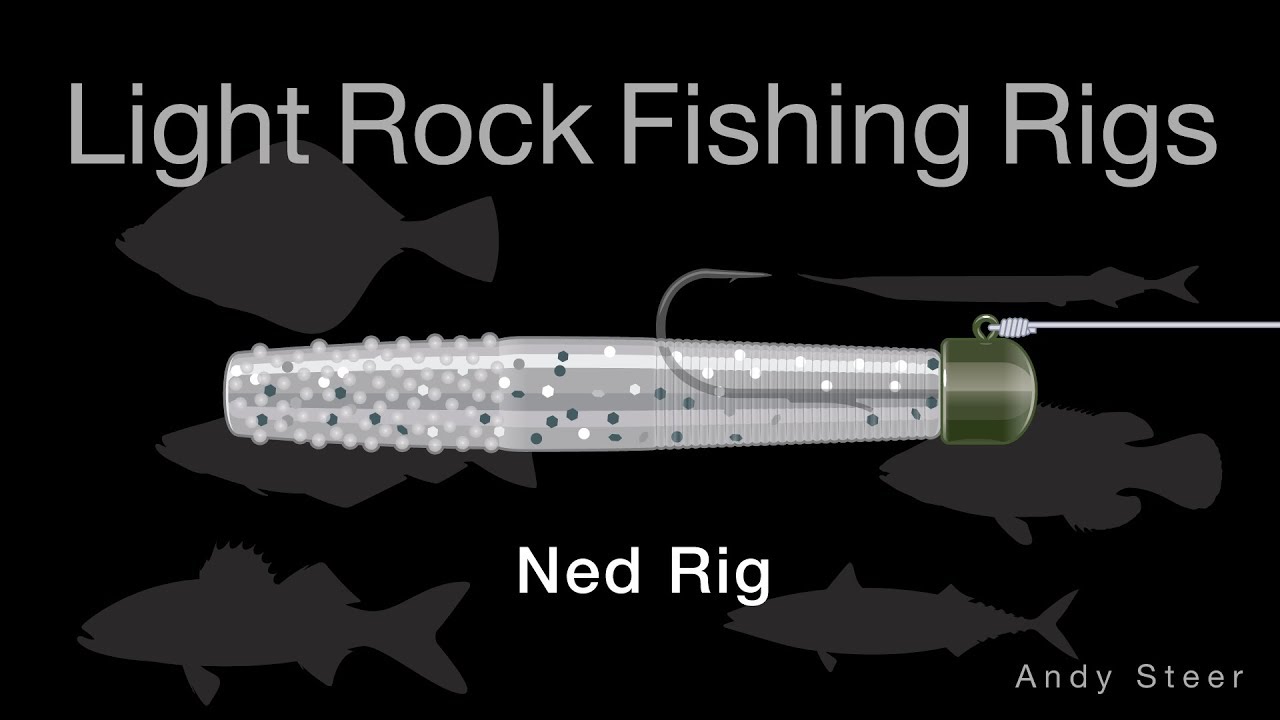 Ned rig