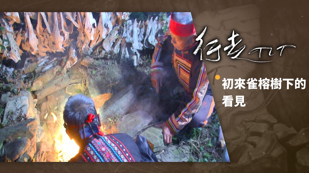 初來雀榕樹下的看見 | 行走TIT 第67集