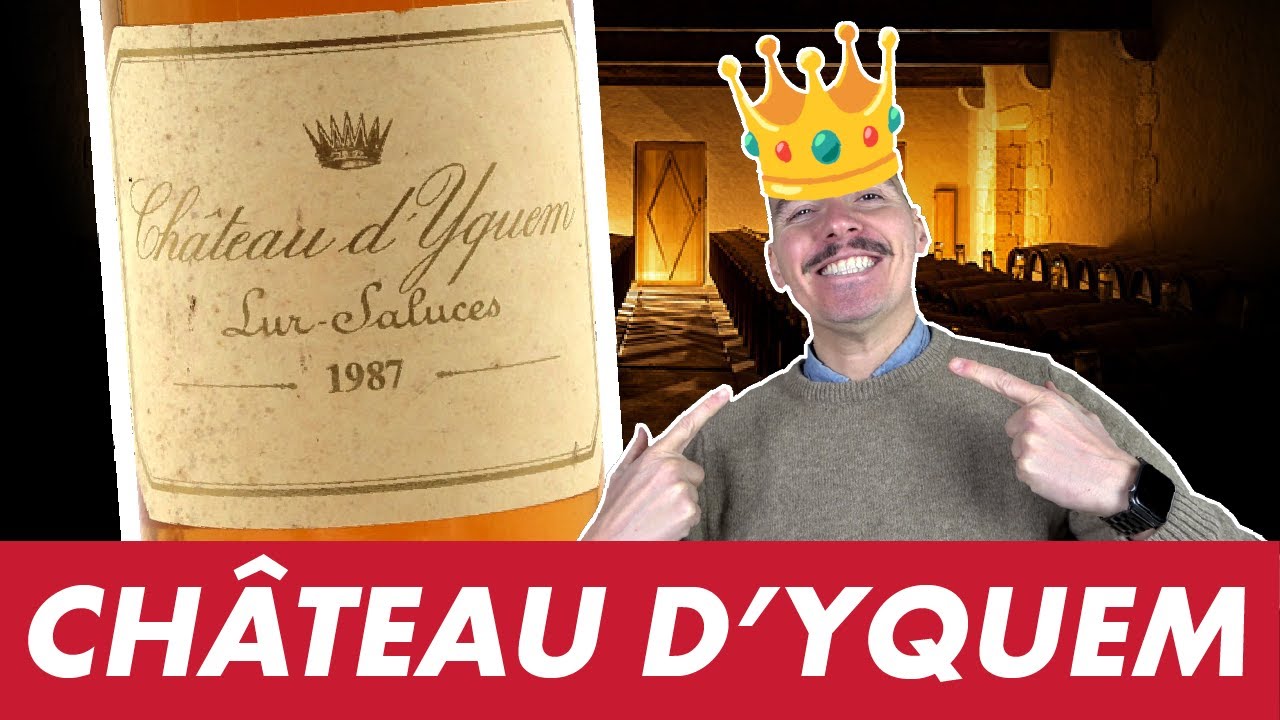 CVQM #4 : YQUEM 95, LE ROI DE SAUTERNES ? 👑💸