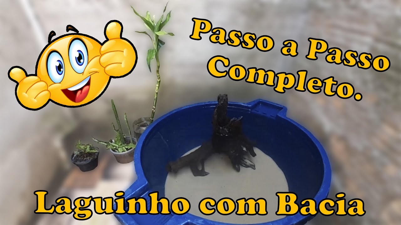 Mini Laguinho na Bacia Passo a Passo - Completo