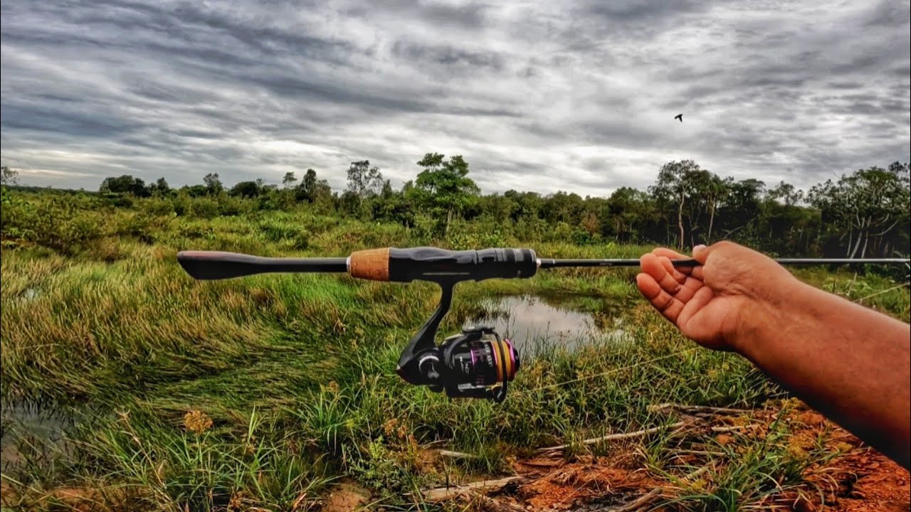 NYOBAIN JORAN 100 RIBUAN UNTUK CASTING GABUS || JORAN TAIGEK RUBY SCAR || RYOBI ULTRA POWER HPX 1000