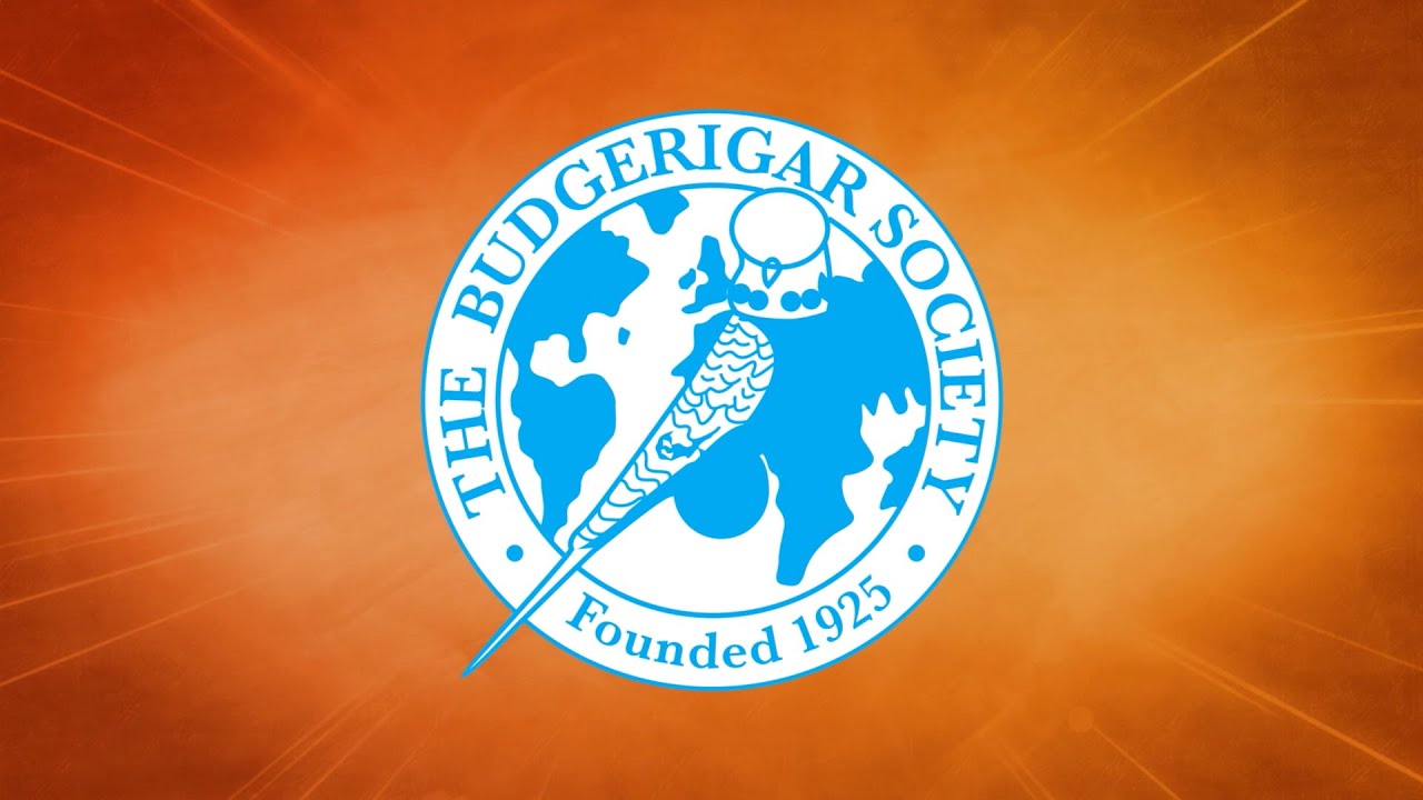 The Budgerigar Society World Championship Show 2014