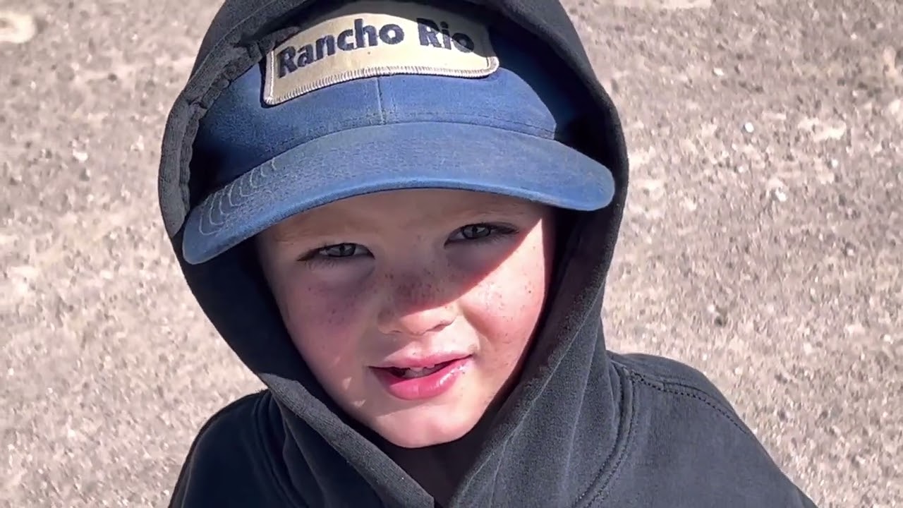 Cattle Roundup ( part 3) Finale. Anchor Brand Ranch