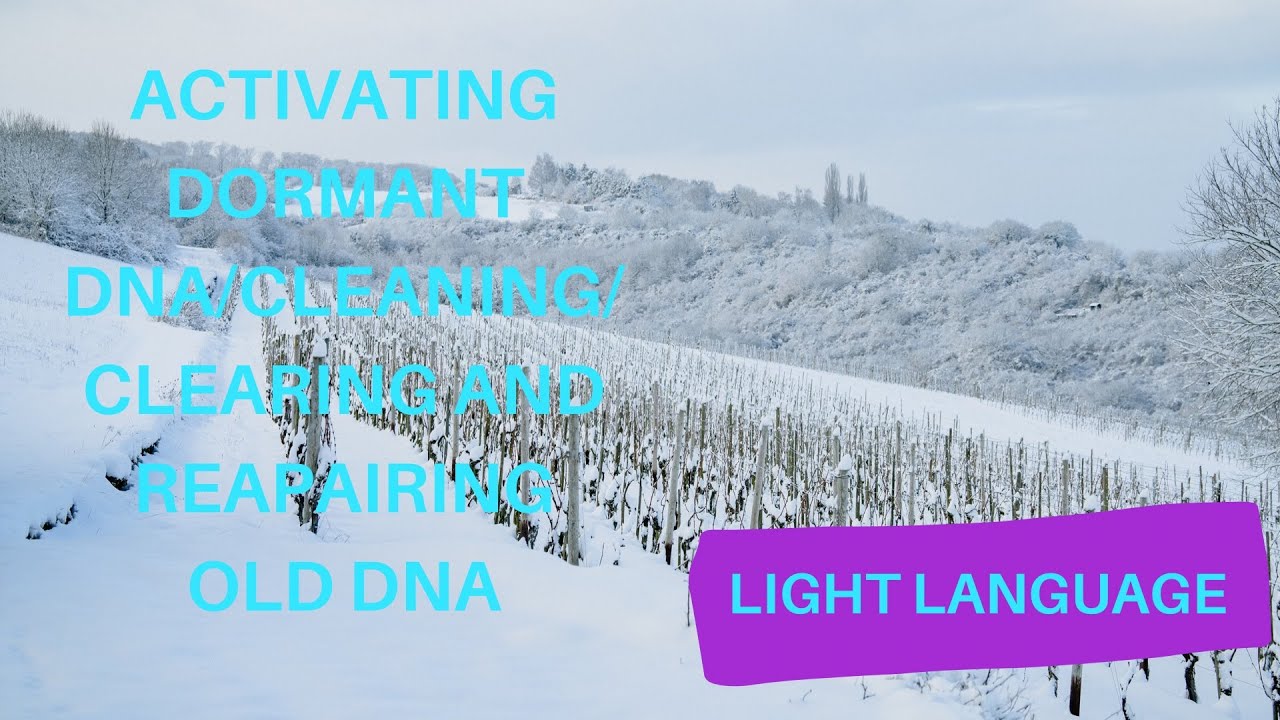 Light Language - Activating Dormant DNA/Cleaning/Clearing and Reapairing old DNA