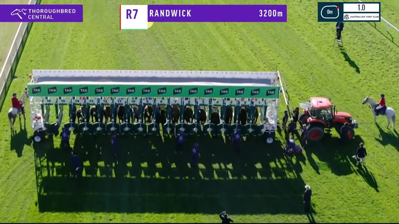 Sydney Cup 2026 - CHANGINGOFTHEGUARD (3YO+ HCP G1) Group 1 Randwick 11 April