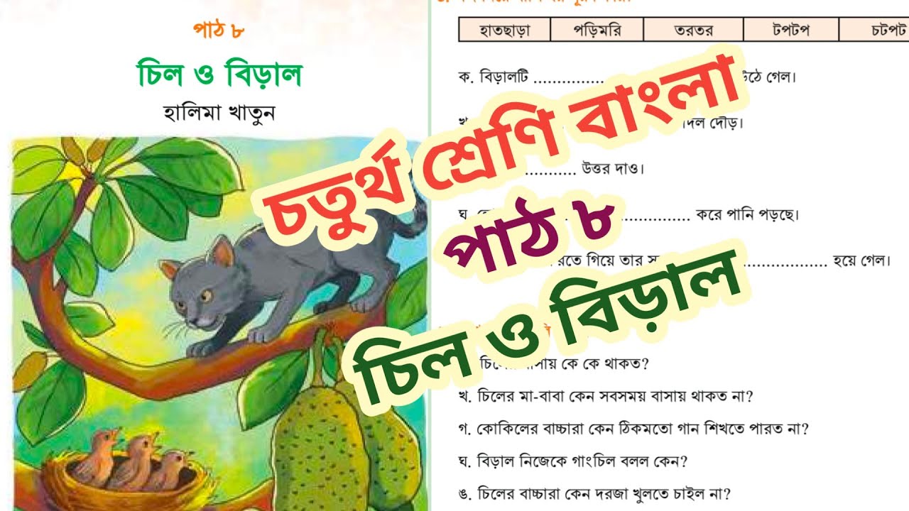 Class 4 Bangla - চতুর্থ শ্রেণি বাংলা পৃষ্ঠা ৩৮,৩৯,৪০,৪১,৪২,৪৩। পাঠ ৮।। চিল ও বিড়াল।। ২০২৬।।