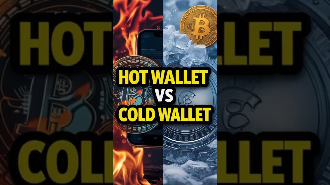 Hot Wallet vs Cold Wallet | Which Bitcoin Wallet Is Right for You?