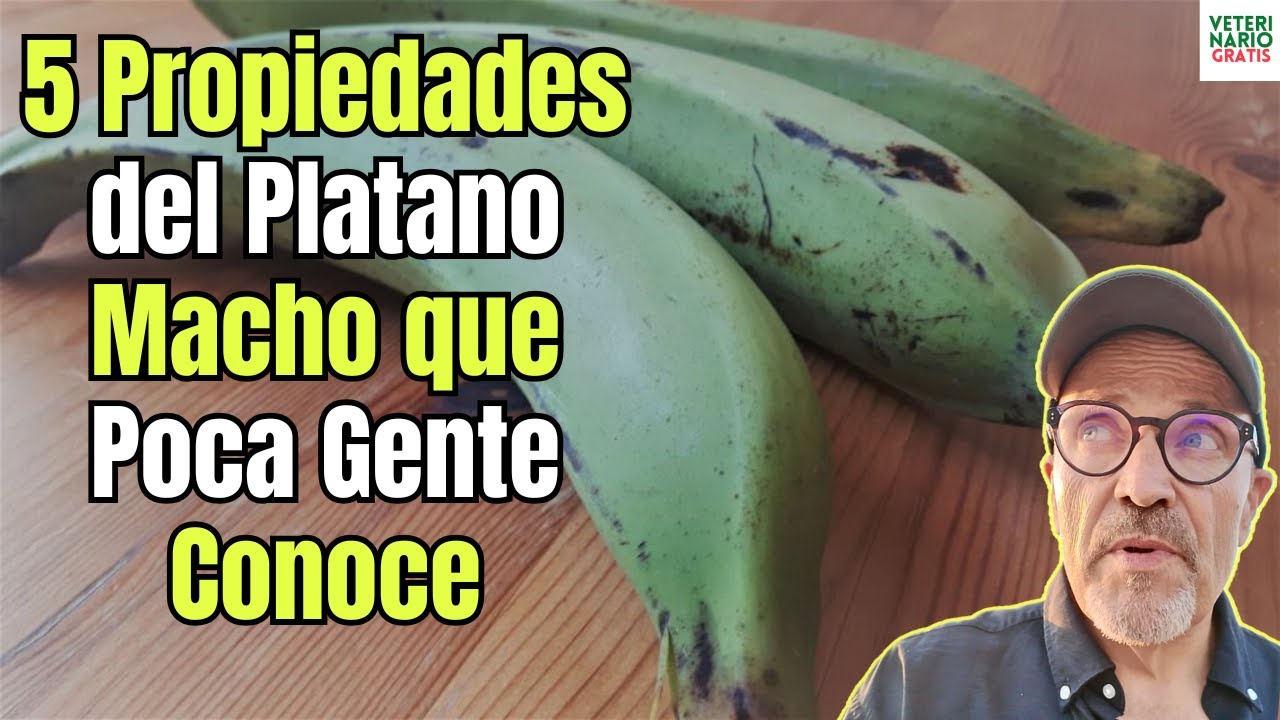 🍌🌿 ¡EL SECRETO MEJOR GUARDADO! 🤫✨ 5 PROPIEDADES DESCONOCIDAS del PLÁTANO MACHO 🤯