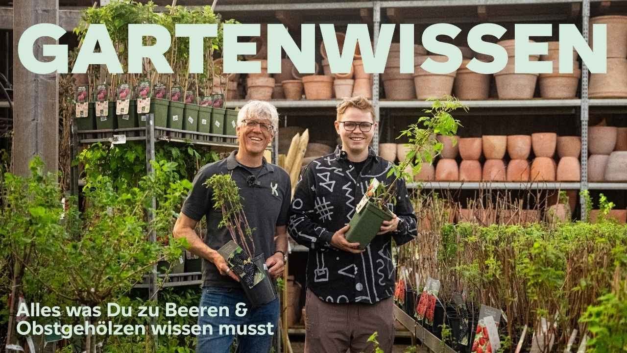 🫐 Obst aus dem eigenen Naschgarten? Die besten Beeren & Obstsorten für Balkon & Garten! 🌳🍒