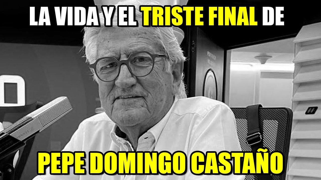 Biografía de Pepe Domingo Castaño