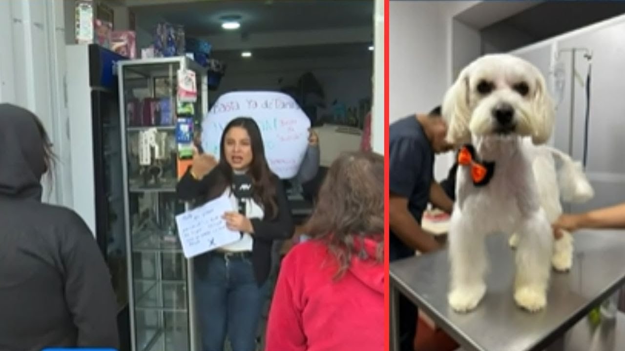Mujer rescata perrita y termina siendo atacada por la dueña del animal