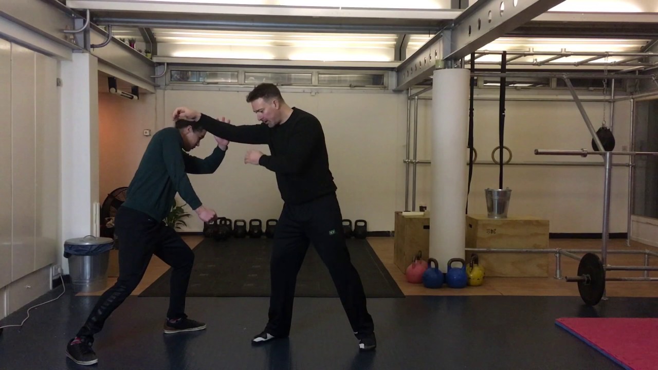 Tai Chi Classics: The poem of sparring