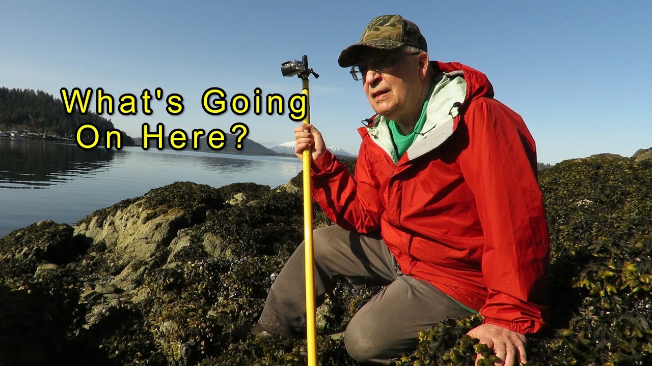 Nothing Looks or Seems Right in Sitka Alaska Anymore. I am Discerning Trouble.