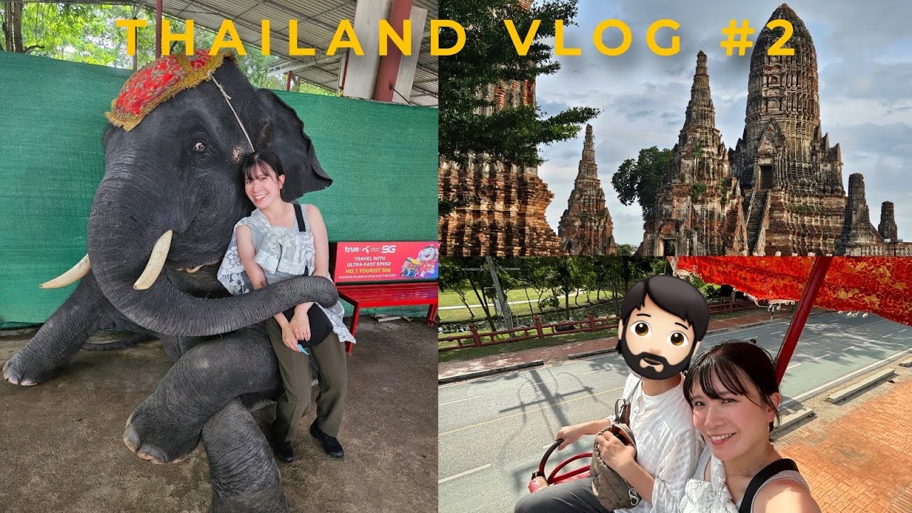 【夫婦vlog】タイ🇹🇭アユタヤで念願のゾウさんにもご対面できました🐘