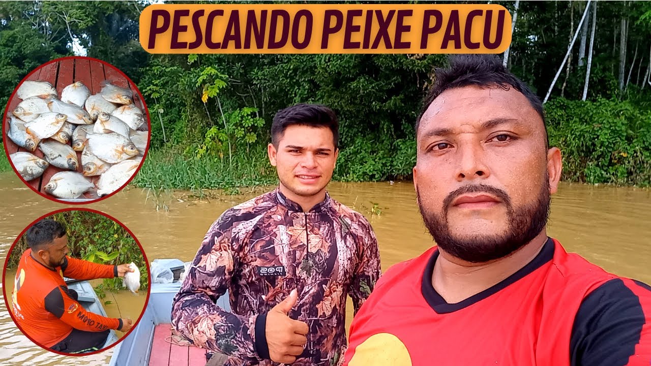 PESCANDO PEIXE PACU - VIDA DE RIBEIRINHO