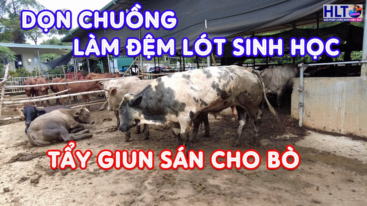 HLT FARM & 1 NGÀY XỬ LÝ RẤT NHIỀU CÔNG VIỆC