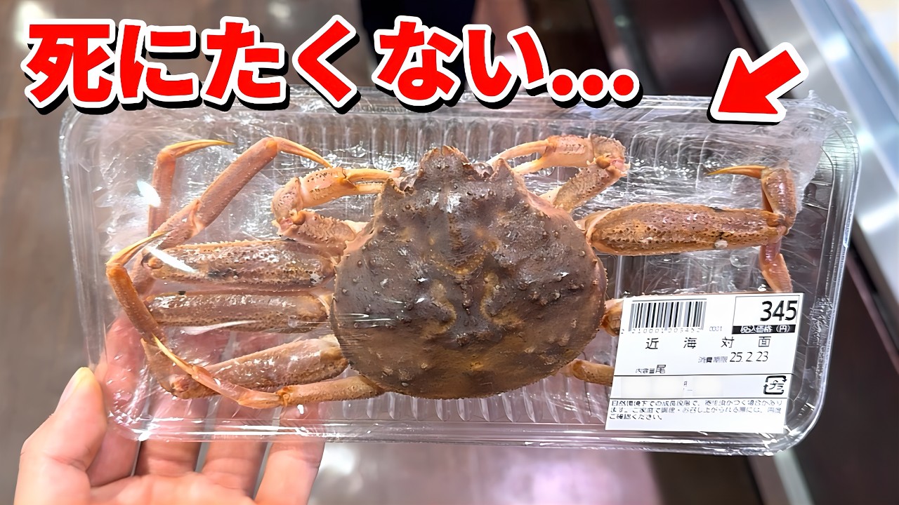 スーパーに売れ残っていた瀕死のカニを飼育してみると…