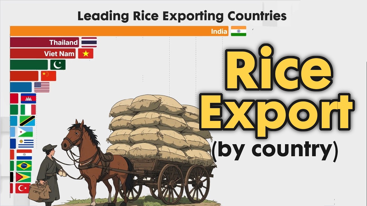 Top 15 Countries by Rice Export 1960 - 2026