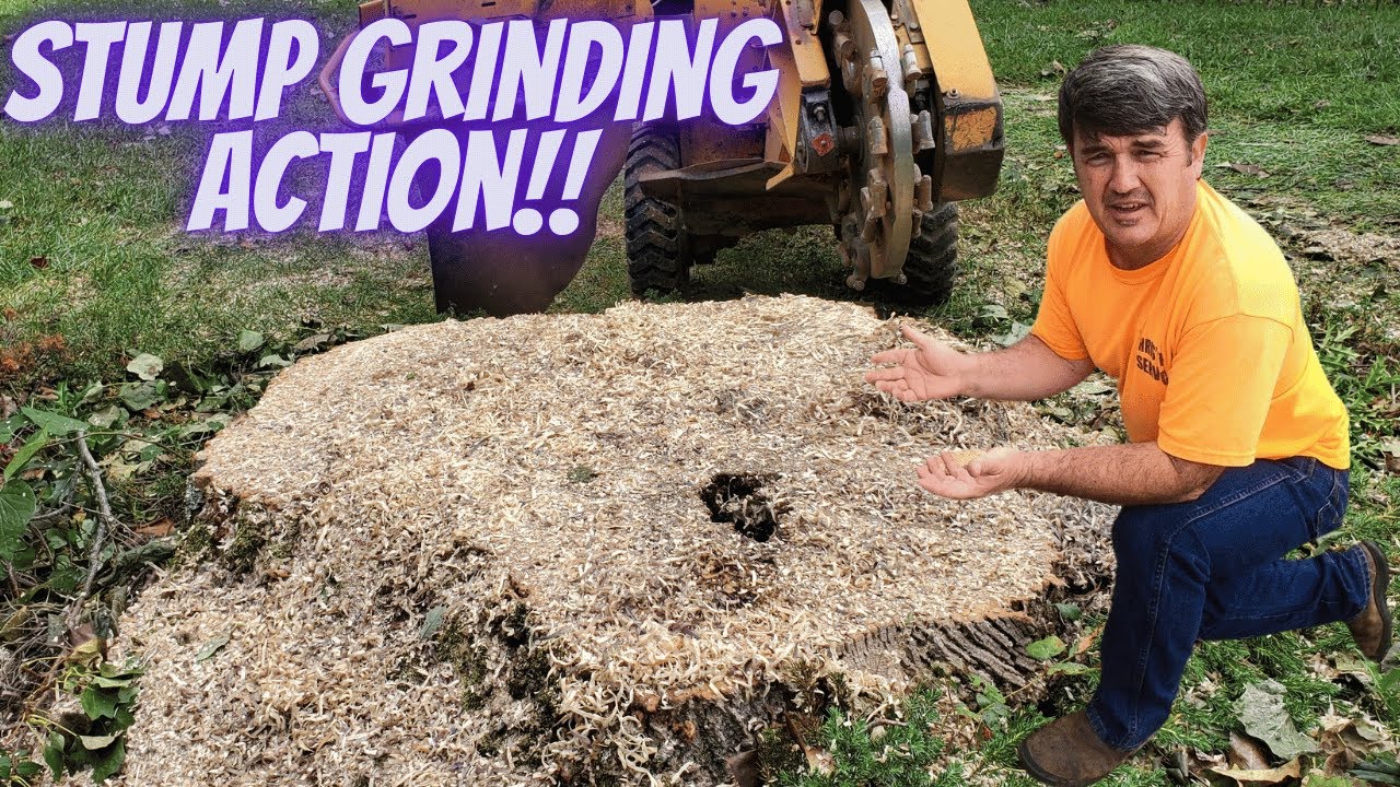 Talking about the Stump Grinding Business through Out the Video