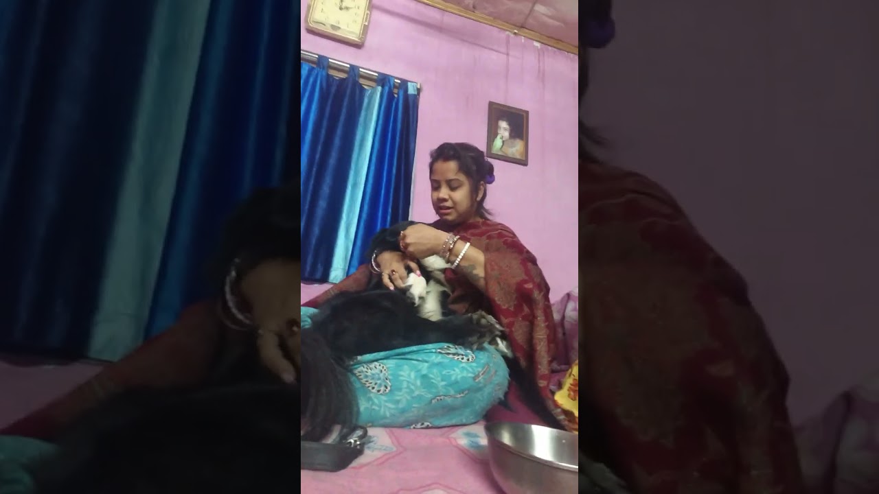 খাওয়াতে গেলে মাথা গরম 😃