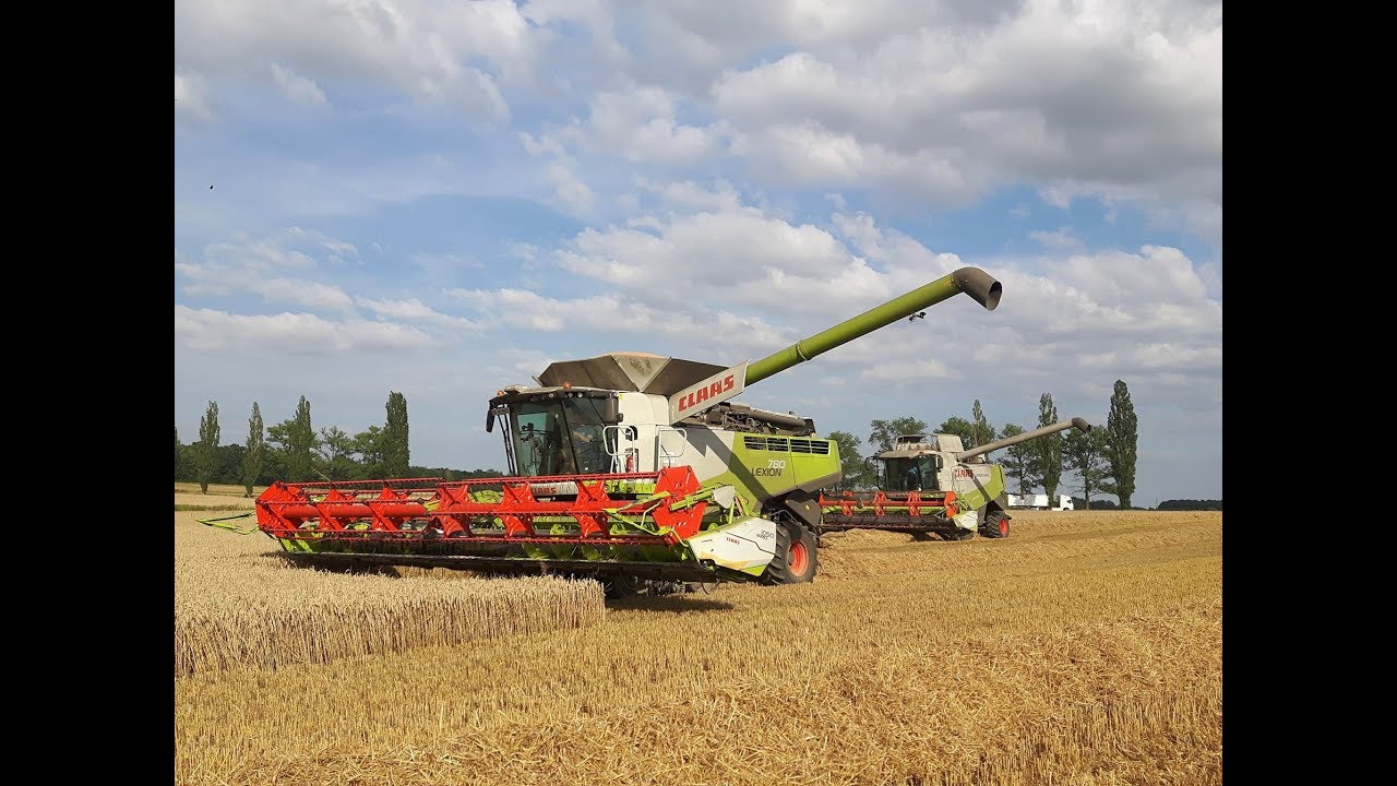 Żniwa 2017 Na większą skalę - 5x Claas Lexion, 5x John Deere - Milikowice (Olszany)