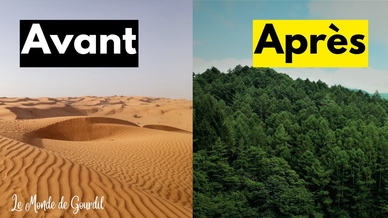 La Chine transforme un DÉSERT en FORÊT !