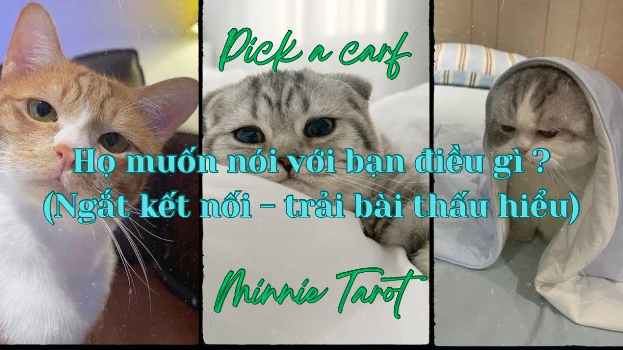 💕 Họ muốn nói với bạn điều gì nhưng không thể? (ngắt kết nối - trải bài thấu hiểu) | Minnie Tarot