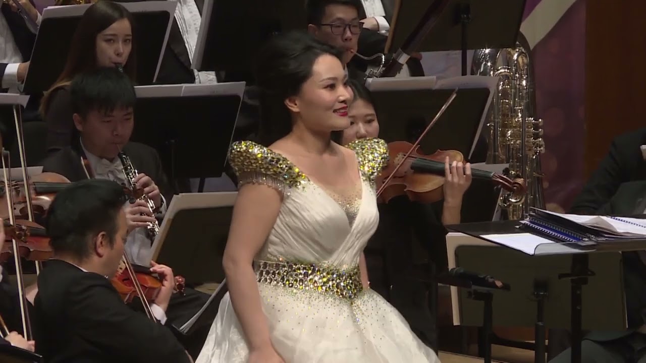 中国歌曲《帕米尔我的家乡多么美》劉麗琳