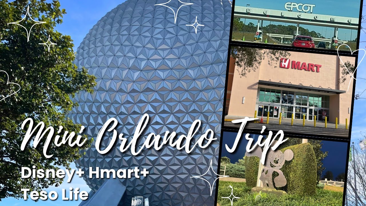 Disney World & Orlando Shopping Vlog 🏰 | EPCOT, Magic Kingdom, Teso Life & H Mart