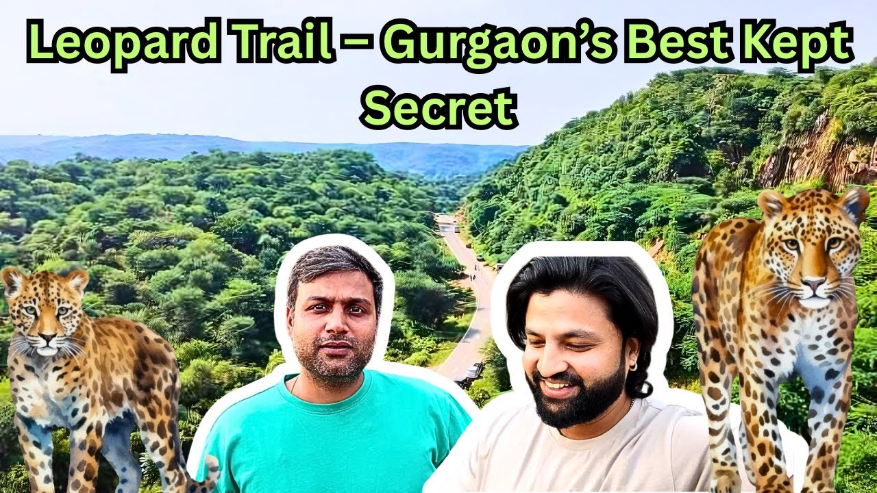 Leopard Trail – Gurgaon’s Best Kept Secret ️‍♂️🌄