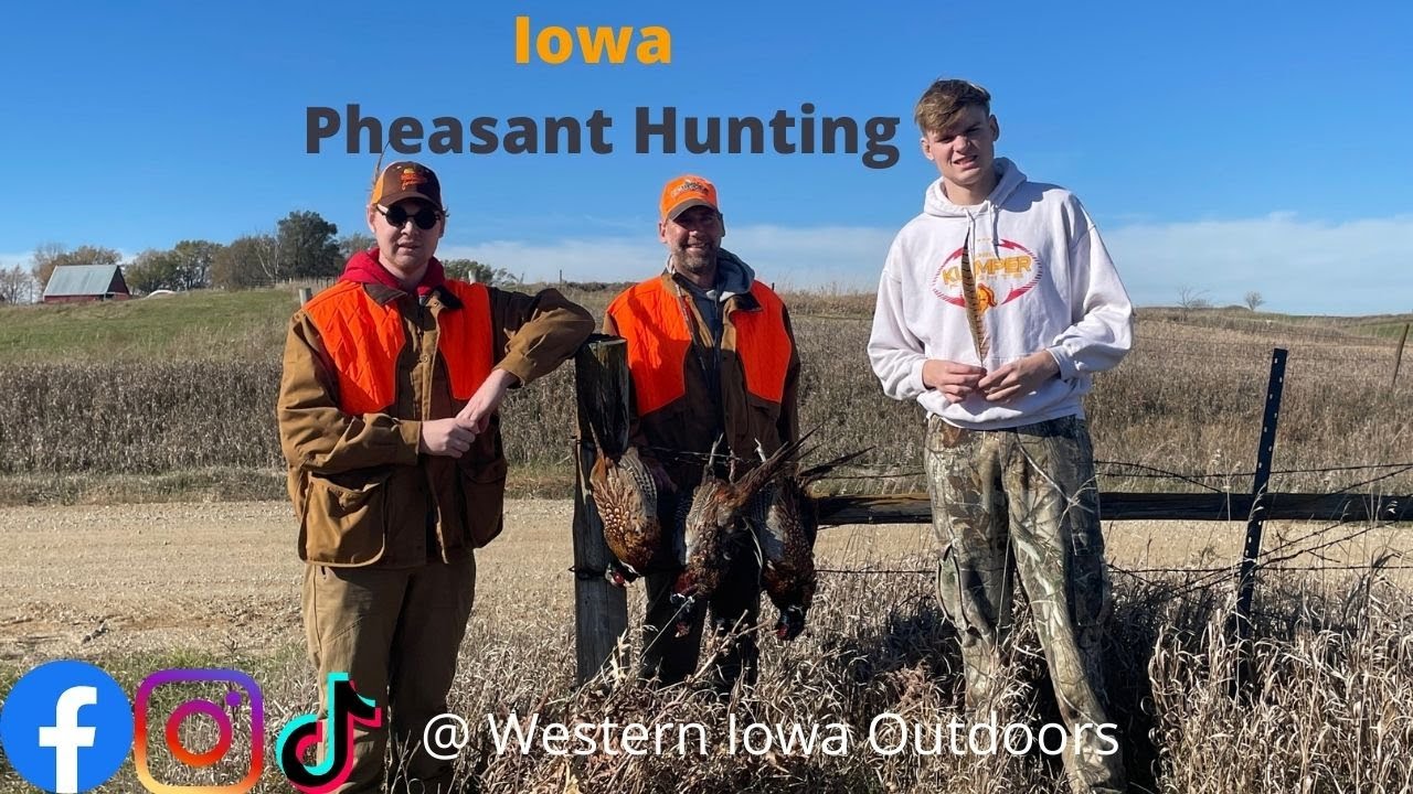 Iowa Pheasant Hunting.