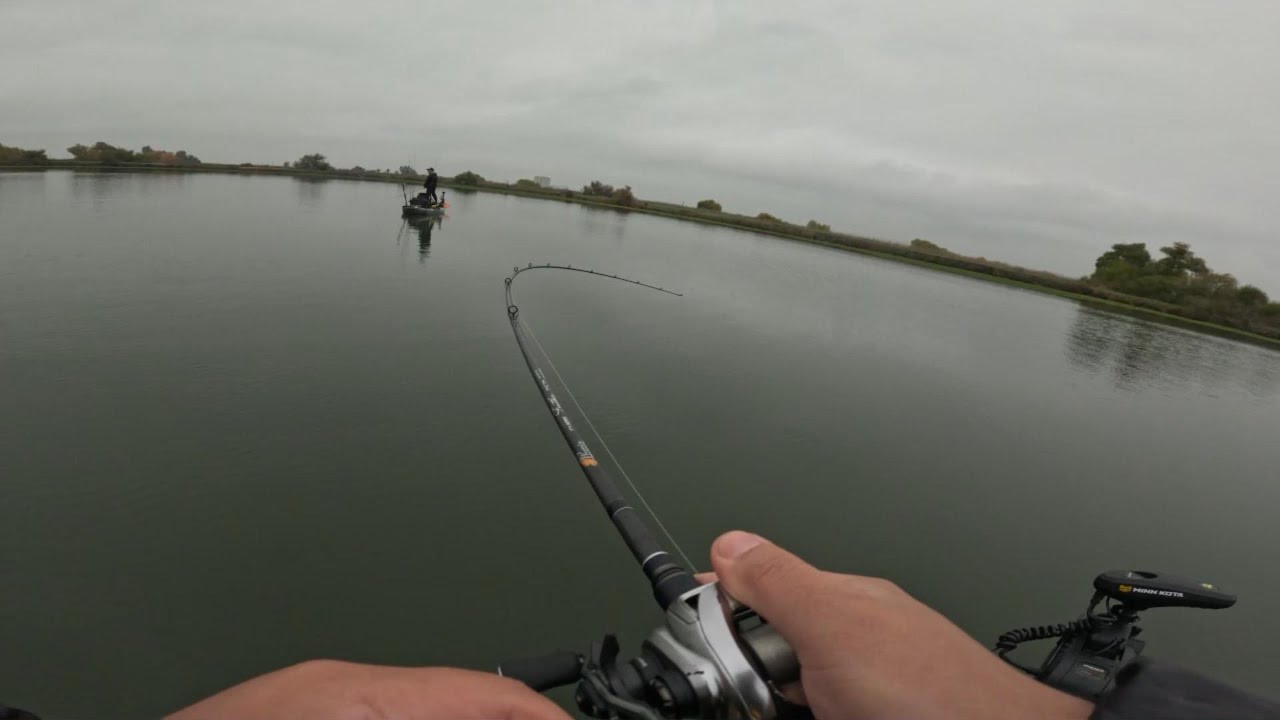Stripers in the Fresno Slough??