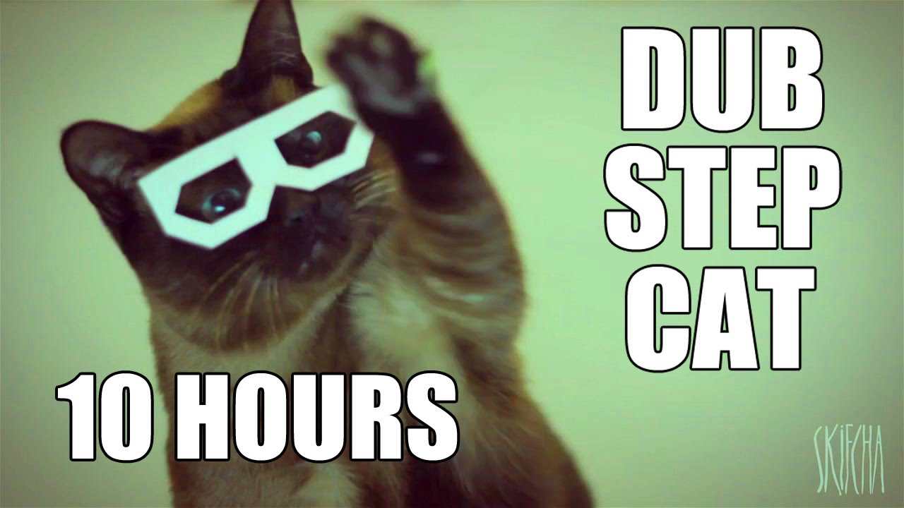 stereo skifcha | dubstep cat [10 HOURS VERSION]
