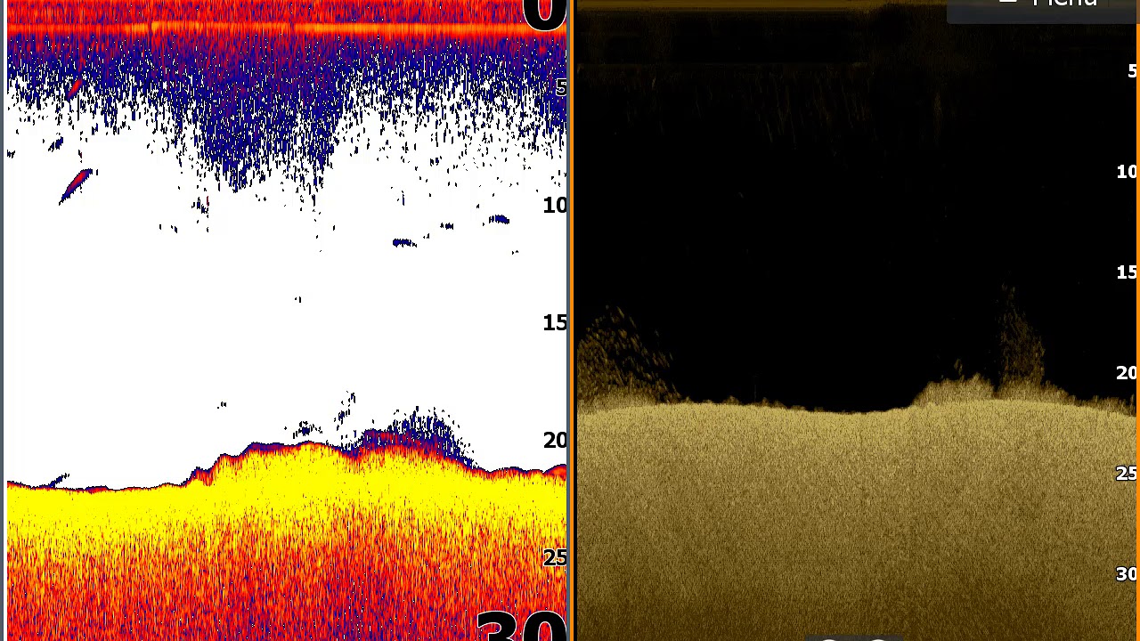 Interpreting downimaging and 2D sonar