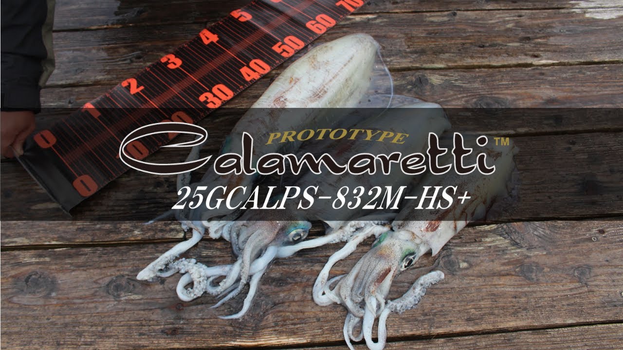 【エギング】カラマレッティープロトタイプ　25GCALPS-832M-HS+　春イカ攻略！