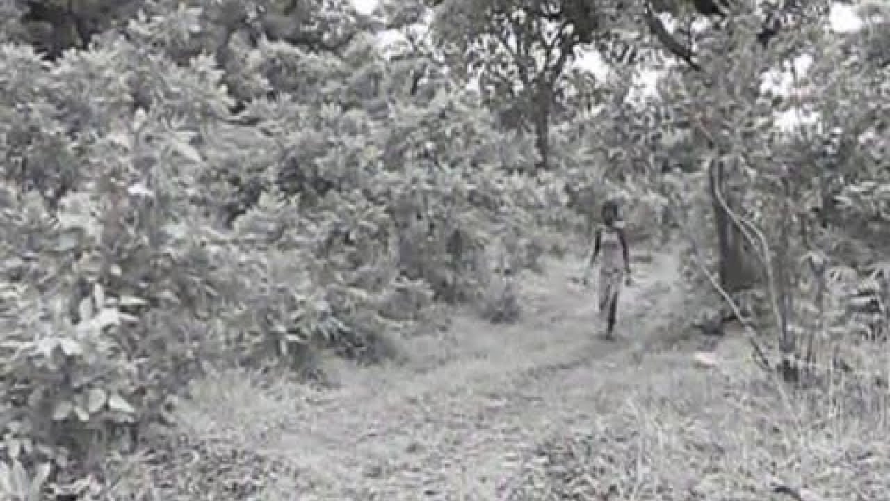 DOUSSOU BAKAYOGO - KOUNGO SOGO