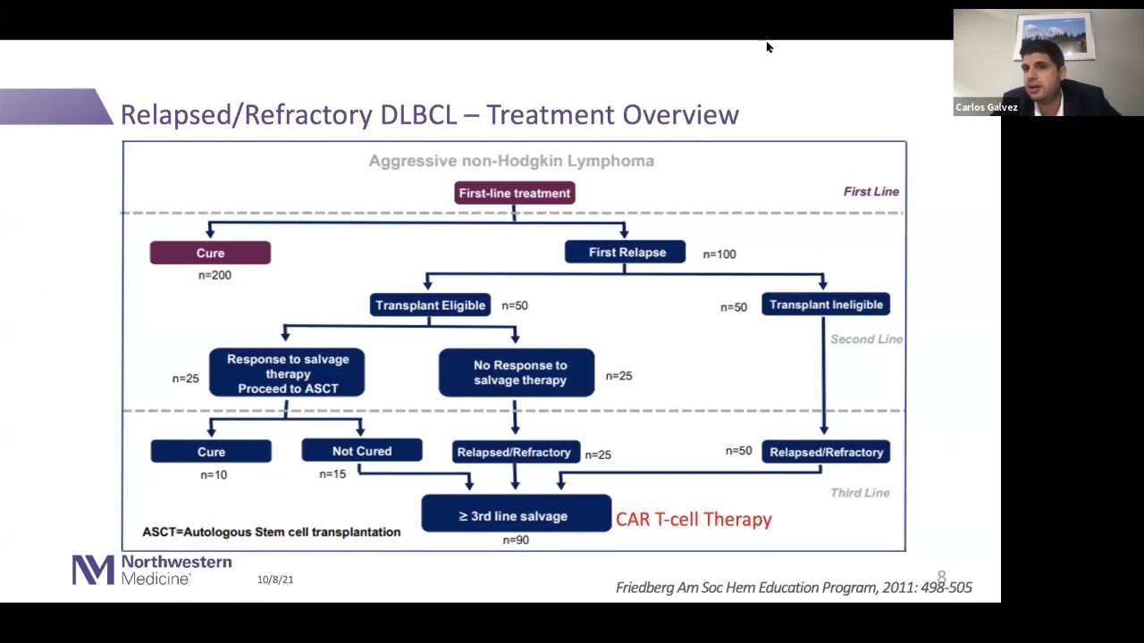Relapsed/Refractory B-cell Lymphomas in the CAR-T Era: Improving Outcomes in a Population at Need