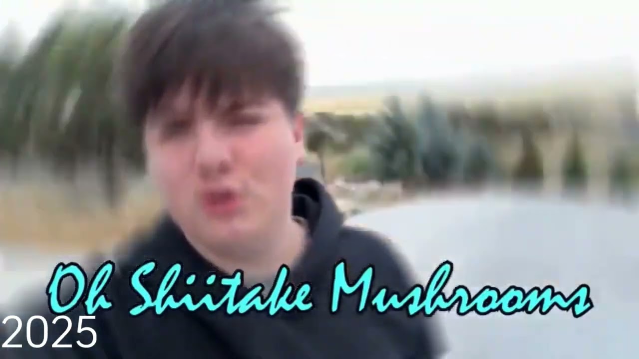 Oh Shiitake Mushrooms: Daddy Temper Tantrum (2017 and 2025) Intro