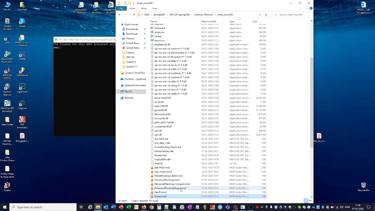 How To Use AMPL